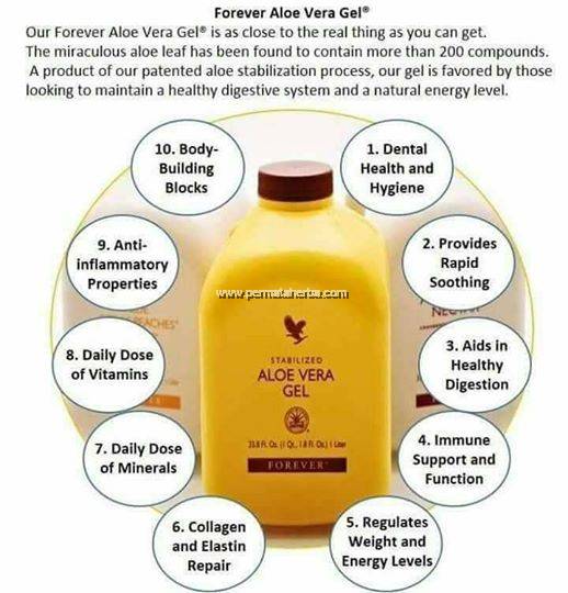 Fungsi Aloe Vera Gelly Forever Living Online Discount Shop For Electronics Apparel Toys Books Games Computers Shoes Jewelry Watches Baby Products Sports Outdoors Office Products Bed Bath Furniture Tools