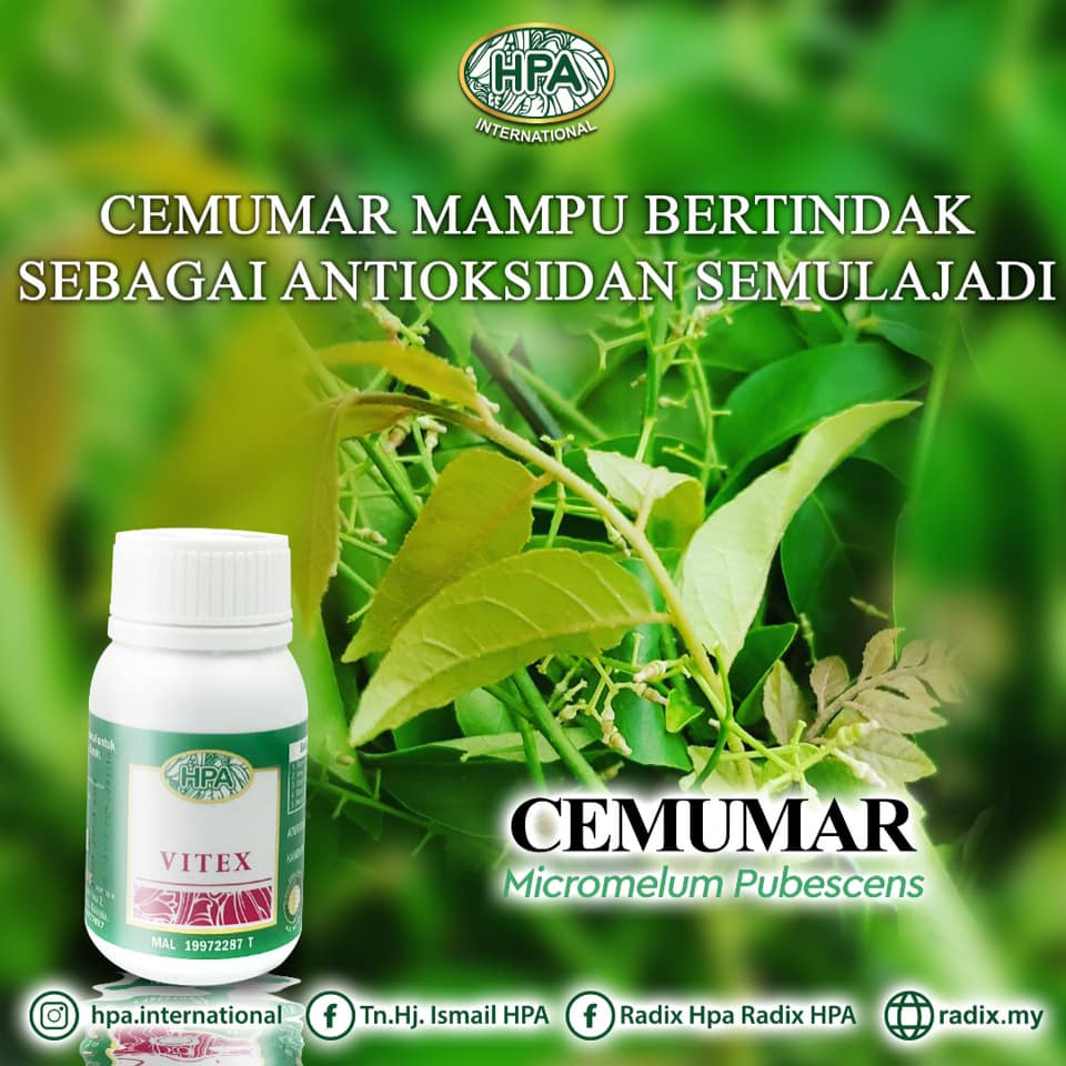 HPA Kapsul Vitex (75 Kapsul) | Penawar Darah Tinggi